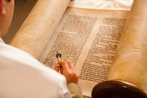 person reading Torah
